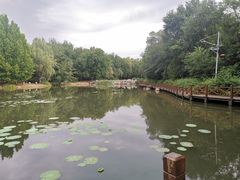 -云岗森林公园