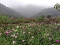 -广州市石门国家森林公园