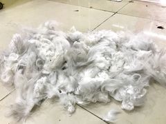 -酷狗靓猫宠物·洗护·美容·寄养(航北路店)