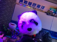 -成都浩海立方海洋公园