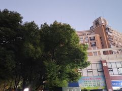 -托乐嘉美食广场(托乐嘉街区店)