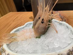 -酒吞(七宝领展广场店)