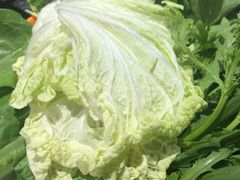 蔬菜拼盘-城南老友羊蝎子火锅(花乡奥莱店)