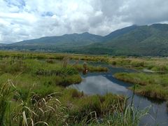 -腾冲北海湿地
