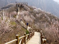 -大岭沟猕猴桃谷风景区