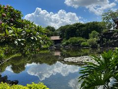 -顺峰山公园