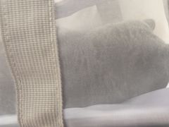 -瑞派福兴宠物医院犬猫全科·骨科·中西医结合(河东店)