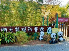 -苏州太湖国家湿地公园