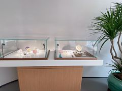 -泉·颂钵冥想·减压·疗愈SPA(前海店)