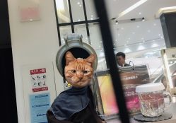 -MMbyHairCode 芭曲发型沙龙
