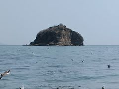 -棒棰岛宾馆景区