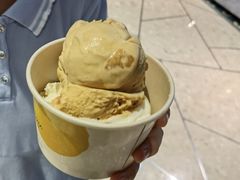 -LUNEURS月乐诗·法式冰淇淋(环贸店)