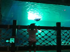 -华夏文旅海洋公园