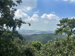 -惠山国家森林公园