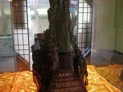 -天怡·鱼工厂(临江店)