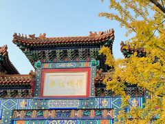-迎泽公园