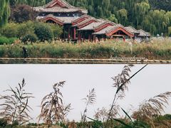 -百脉泉景区