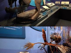 -国家自然博物馆