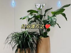 -万达广场(南昌红谷滩店)