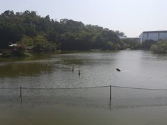 -厦门悦华酒店