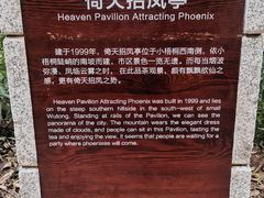 -梧桐山风景名胜区