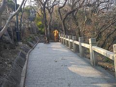 -灵岩山风景区