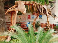 -中国第四纪冰川遗迹陈列馆