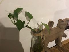 -No Cat 手碟