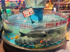 -魏铭鱼头捞饭(晋阳路店)