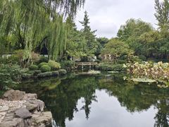 -秋霞圃