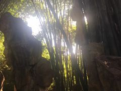 -望江楼公园
