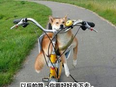 -良子健身(金融街店)