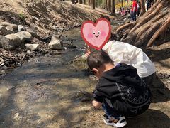 -白水寺森林公园