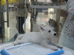 -乐宠宠物店(世纪金源店)