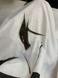 -ASA HAIR SALON