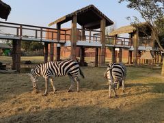 -祥源·阜阳生态乐园