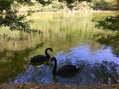 -水濂山森林公园