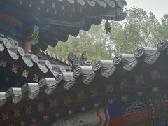 -兴教寺