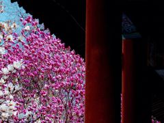 -颐和园