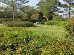 -陶缘一号·四季缘·老字号顺德菜·户外婚礼家宴(西滘店)