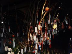 -轻武堂传统射箭·功夫茶·射击体验馆(仁和新城店)