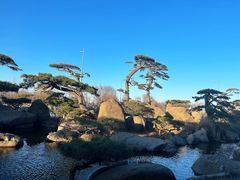 -罗红摄影艺术馆