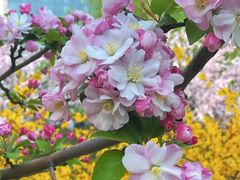 -元大都城垣遗址公园