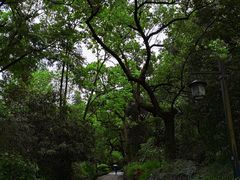-法云古村