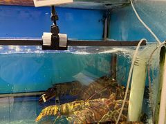 -大润发(王庄店)