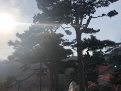 -妙峰山风景名胜区