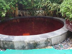 -仁爱团泊湖温泉中心