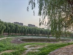 -东坝千亩湖公园