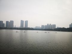 -月湖风景区