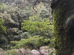 -泽雅七瀑涧景区